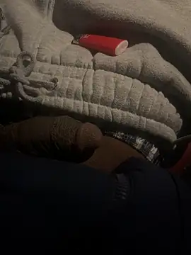 dingoding online show from February 2025 01:44:02 AM