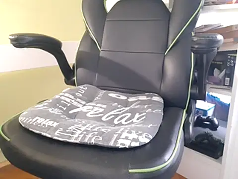 Snapshot of feathersify chatting on November 2025 01:21:02 PM feathersify online show from November 2025 01:21:02 PM