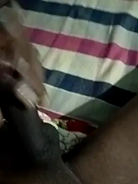 Like african online show from April 2026 08:44:01 PM