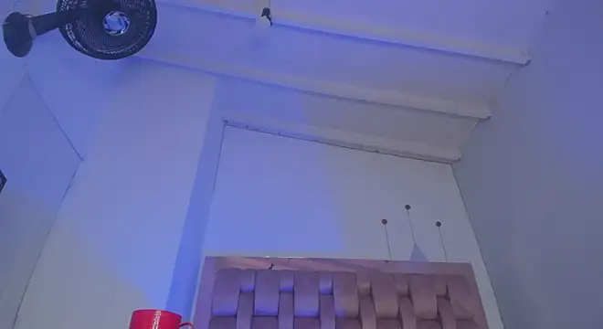 swt-booty online show from December 2024 05:48:01 PM