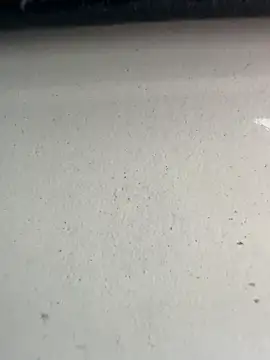 S2kicibey06 online show from February 2025 07:29:01 AM