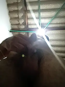 Diosymar  online show from January 2026 05:22:01 AM