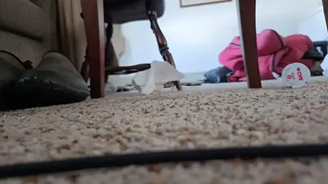 CDforU online show from February 2026 06:01:01 PM