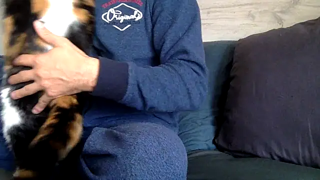 curioushetero online show from February 2025 01:49:02 PM