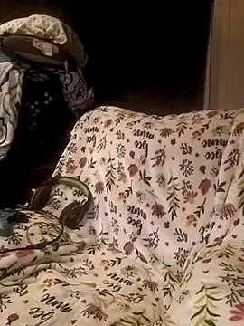 ShadowyTube online show from February 2025 06:33:01 AM