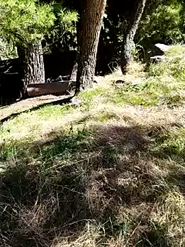 Snapshot of K-27 chatting on October 2025 10:24:01 AM K-27 online show from October 2025 10:24:01 AM