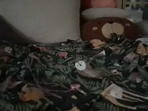 Perwers 41 online show from November 2025 02:19:01 PM