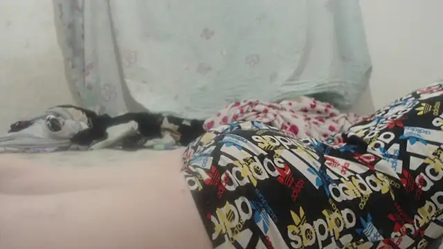 Kittywhiteass online show from March 2025 11:57:02 PM
