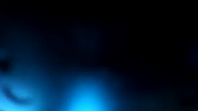 nicolas herrera online show from December 2024 12:29:02 PM