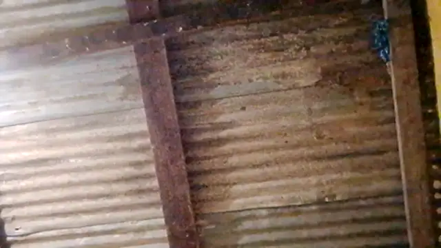 LULE37587001 online show from February 2026 11:05:02 PM