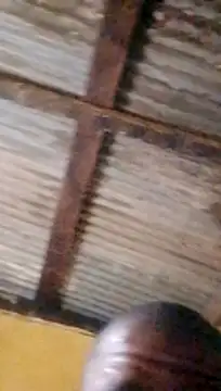 LULE37587001 online show from March 2026 10:35:01 PM