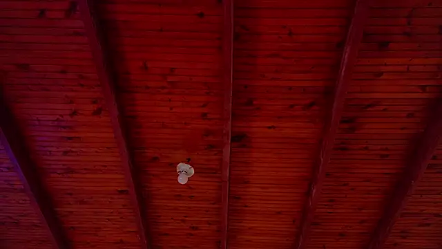 Snapshot of annie_barozzi chatting on October 2025 01:23:01 PM annie barozzi online show from October 2025 01:23:01 PM