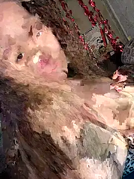 Var Kiss online show from April 2026 05:14:02 AM