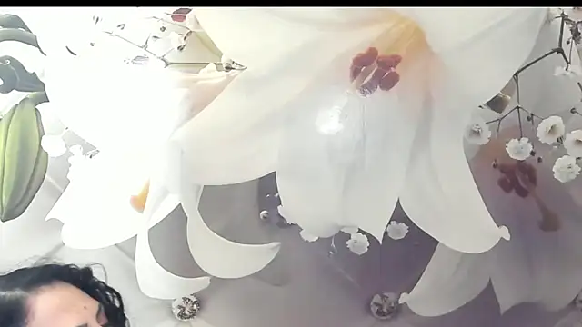 SweetArtemis online show from February 2025 11:04:01 PM