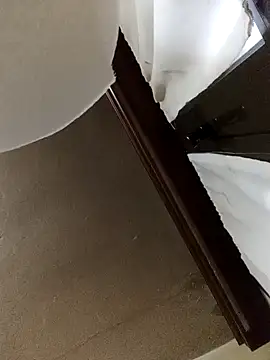 Snapshot of White_rabbit_ chatting on December 2024 04:53:02 PM White rabbit online show from December 2024 04:53:02 PM