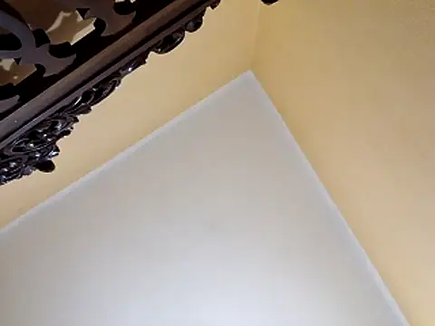 Snapshot of White_rabbit_ chatting on October 2025 10:00:02 PM White rabbit online show from October 2025 10:00:02 PM