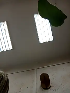 Office Albertina online show from January 2026 10:13:02 PM