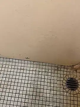 Snapshot of DreamerAsianGuy chatting on December 2024 12:16:01 AM DreamerAsianGuy online show from December 2024 12:16:01 AM