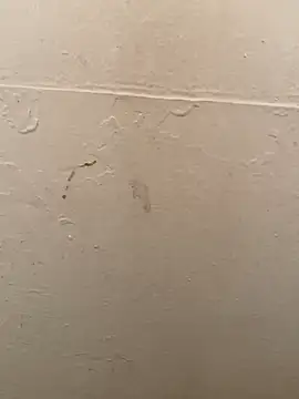 Snapshot of DreamerAsianGuy chatting on January 2025 03:50:02 AM DreamerAsianGuy online show from January 2025 03:50:02 AM