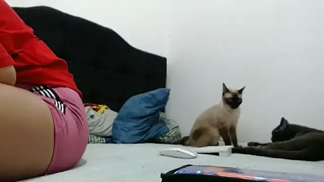 Snapshot of Emmily_Fox chatting on December 2024 10:23:01 PM Emmily Fox online show from December 2024 10:23:01 PM