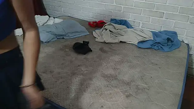 valeriaswang Lucas online show from November 2025 04:18:01 PM