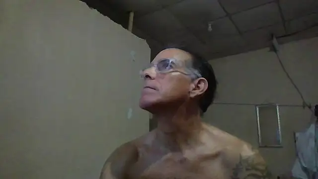 CaptainFox online show from June 2026 11:17:01 PM