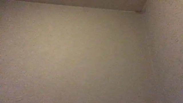 mondo29 online show from February 2025 02:54:02 PM