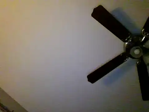 Snapshot of Gerbil8823 chatting on February 2025 09:47:02 AM Gerbil8823 online show from February 2025 09:47:02 AM