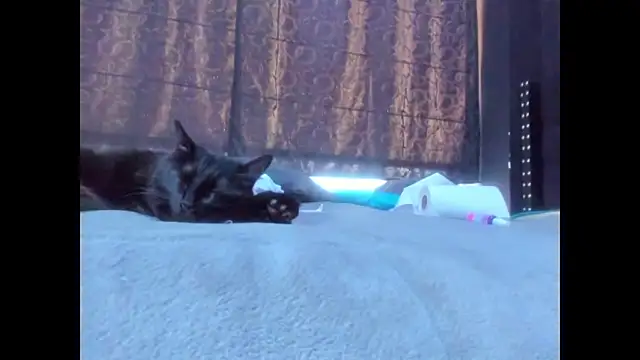 amareto queen online show from March 2026 07:53:02 PM