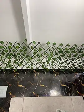 adriscute online show from April 2026 05:50:02 PM