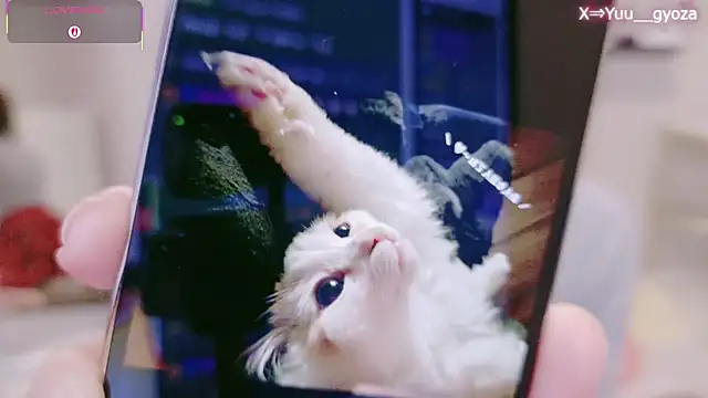 Yuu  k online show from March 2026 02:36:02 PM