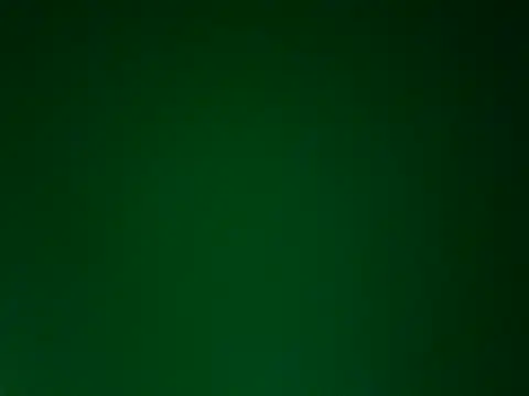 Iceblanca online show from February 2026 11:50:02 PM