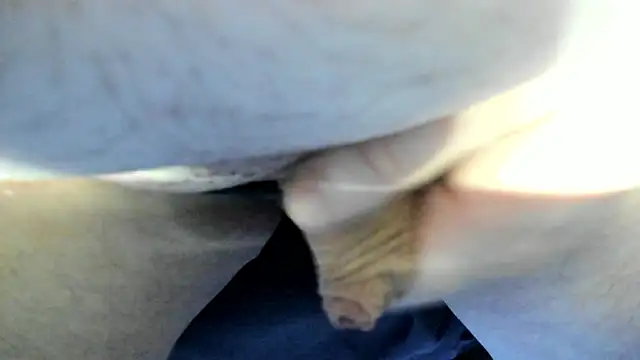 Snapshot of Big_Andiy chatting on September 2025 02:33:02 AM Big Andiy online show from September 2025 02:33:02 AM