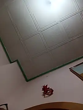 HAIRY PUSSY BIG online show from March 2026 02:50:02 AM