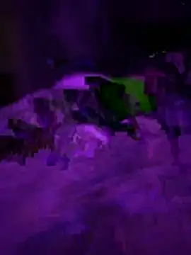 Themechanic420 online show from February 2026 02:37:02 PM