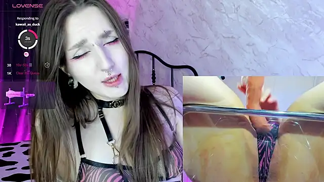 Pink diablo online show from March 2025 02:48:01 AM