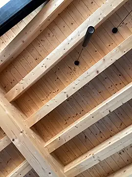 Fellix online show from October 2025 10:29:01 AM