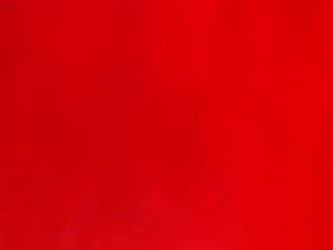 Snapshot of KarimaSarabe chatting on January 2025 08:05:02 PM KarimaSarabe online show from January 2025 08:05:02 PM