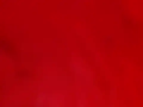 Snapshot of KarimaSarabe chatting on March 2025 07:04:02 PM KarimaSarabe online show from March 2025 07:04:02 PM