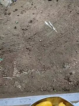 Snapshot of 123abhi_ chatting on July 2026 11:58:02 AM 123abhi online show from July 2026 11:58:02 AM