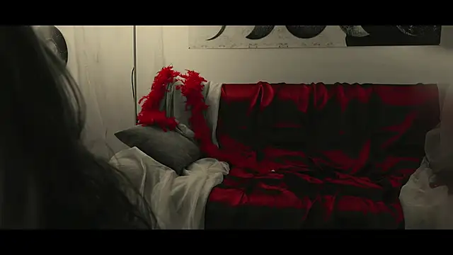 WebCora online show from January 2025 06:02:01 PM