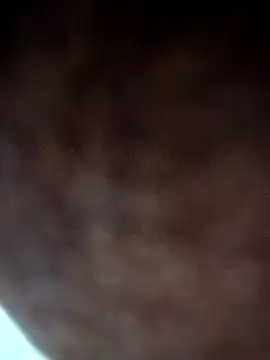 Lent Medium online show from November 2025 05:46:02 PM