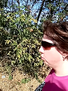 explored romantic online show from September 2025 10:38:02 AM