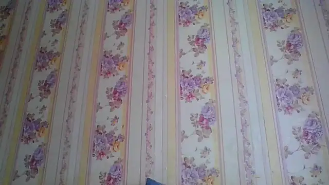 Skills  online show from December 2024 05:26:01 AM