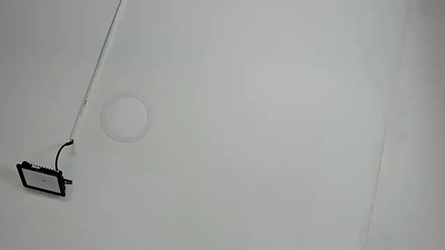 CeliWoods online show from October 2025 11:20:02 AM