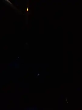 Snapshot of Likewise chatting on January 2025 11:55:01 AM Likewise online show from January 2025 11:55:01 AM