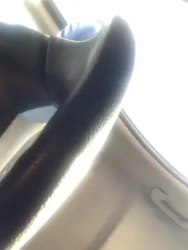 Snapshot of Likewise chatting on March 2025 07:28:01 PM Likewise online show from March 2025 07:28:01 PM