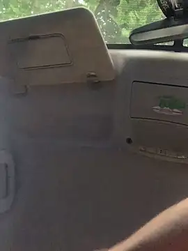 Snapshot of Likewise chatting on March 2025 04:38:02 AM Likewise online show from March 2025 04:38:02 AM