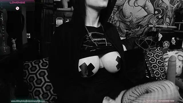 Snapshot of Silentmary chatting on January 2025 01:10:01 AM Silentmary online show from January 2025 01:10:01 AM