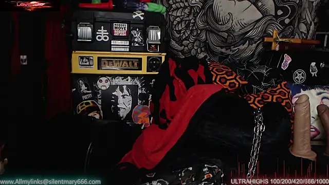 Snapshot of Silentmary chatting on February 2025 11:52:02 PM Silentmary online show from February 2025 11:52:02 PM